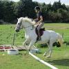 Canter poles (9)