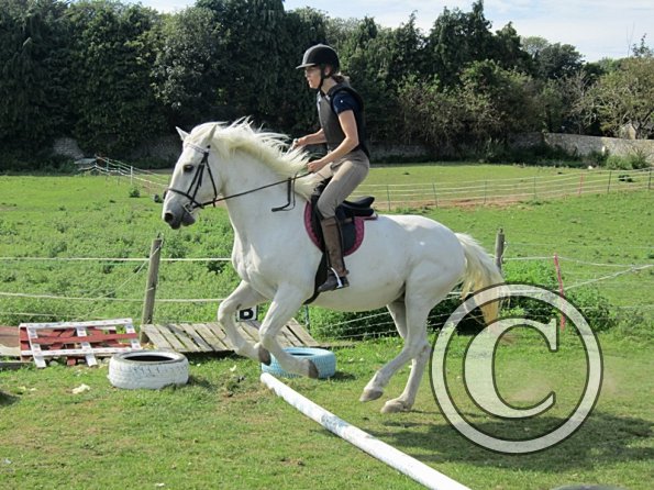 Canter poles (9)