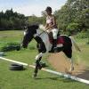 Canter poles