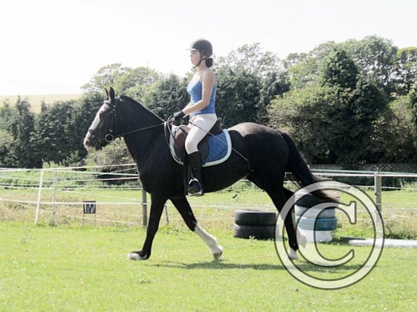 Jessie dressage (4)