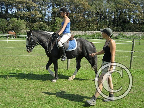 Jessie dressage (5)