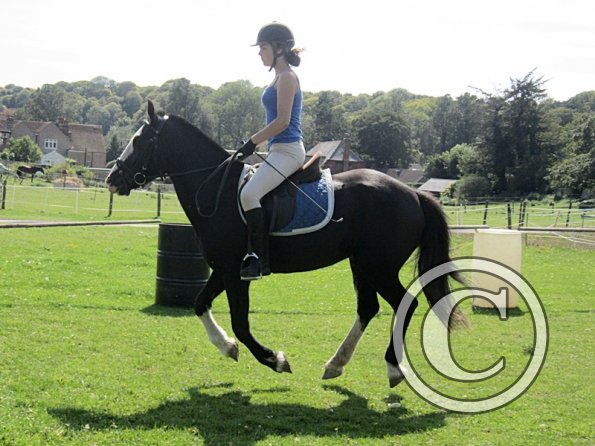 Jessie dressage (6)
