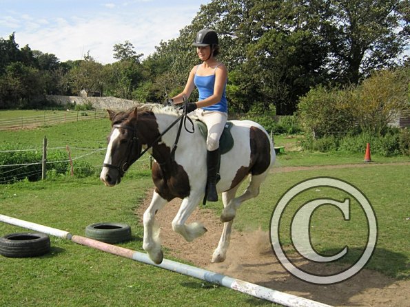 Lance canter poles (2)