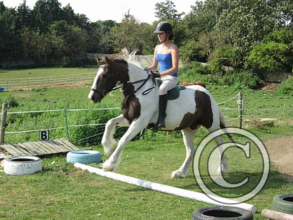 Lance canter poles (3)