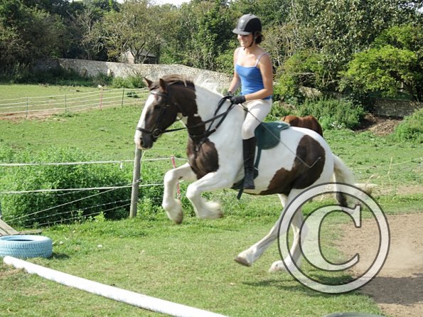 Lance canter poles (4)