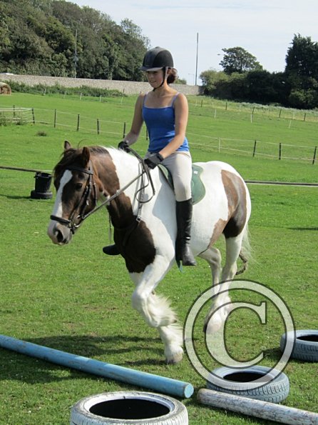 Lance canter poles (5)