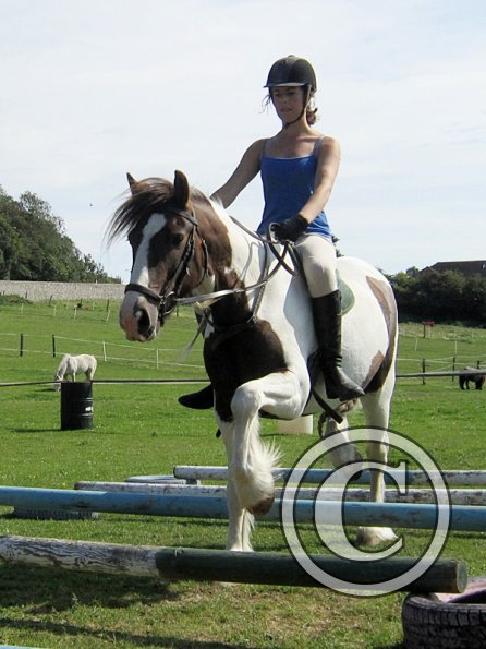 Lance elevated poles (2)