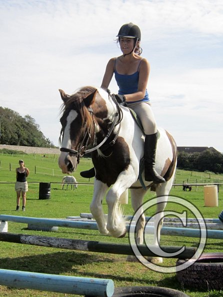 Lance elevated poles (3)