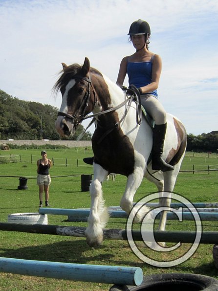 Lance elevated poles (4)