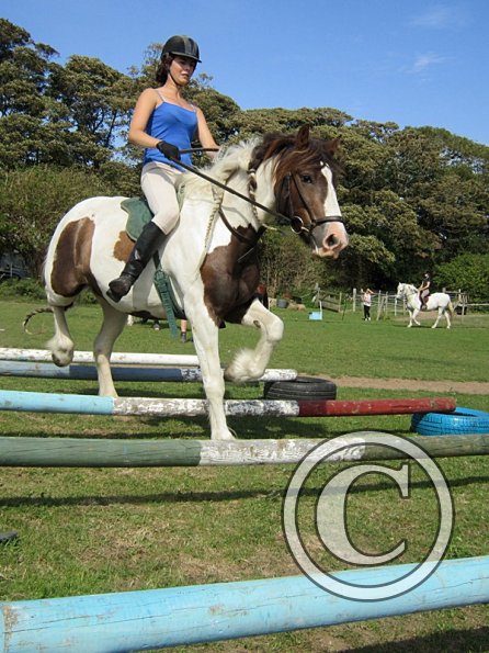 Lance elevated poles (5)