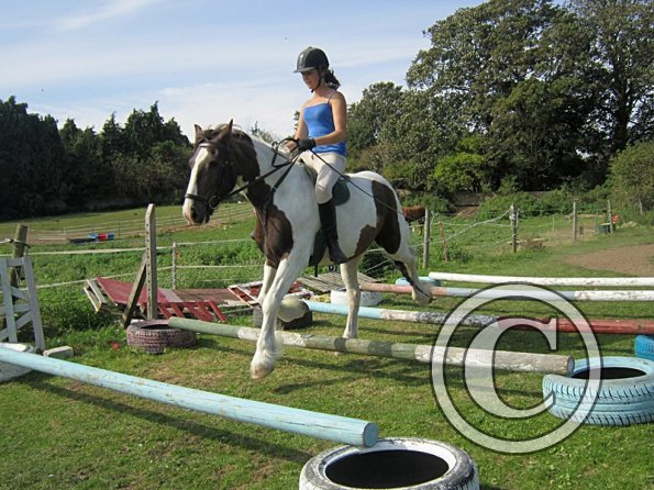 Lance elevated poles