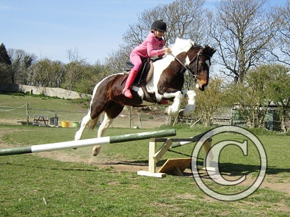 Chloe and Lizzy jump