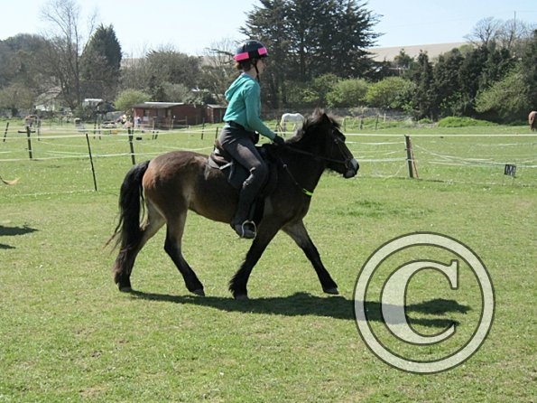 Julia and Appley (2)