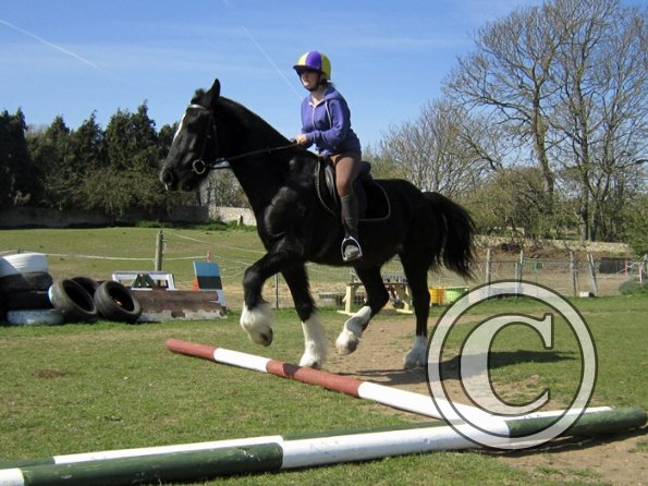 Leoni and Solomon (2)