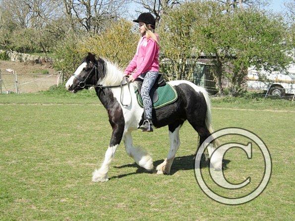 Libby and Willow (2)