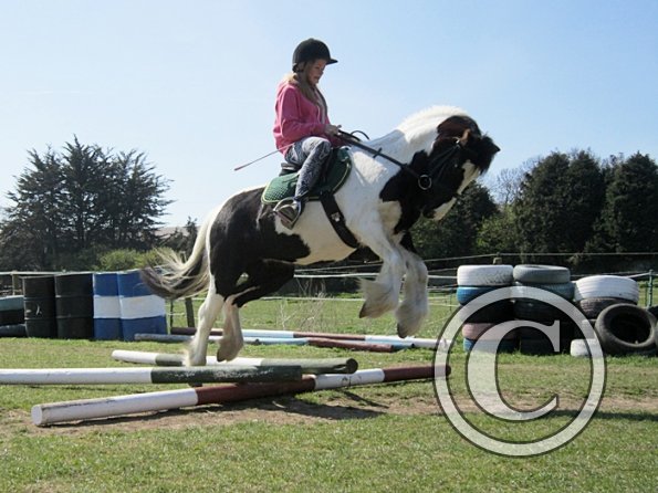 Libby and Willow (7)