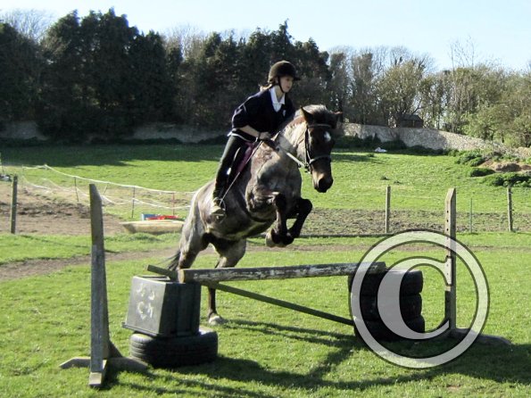 Dixie jump (3)
