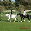 Flatwork clinic (2)