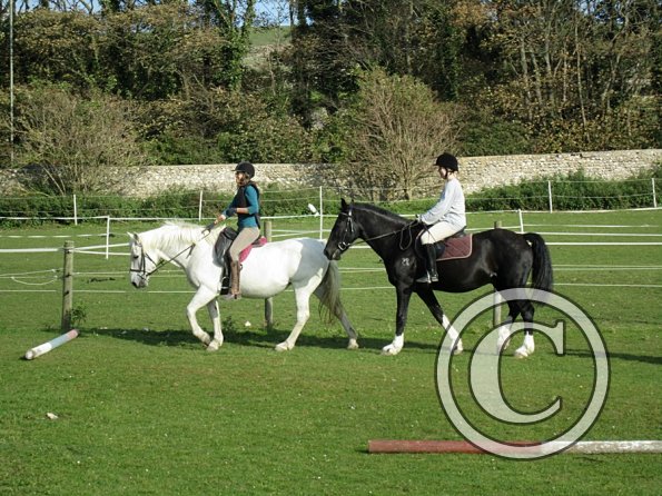Flatwork clinic (2)