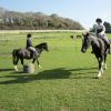 Flatwork clinic (3)
