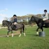 Flatwork clinic (4)