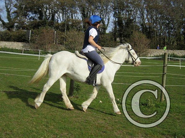 leonie-and-moooooo-2-