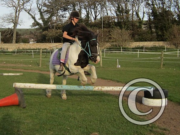 lily-h-and-reggie-10-