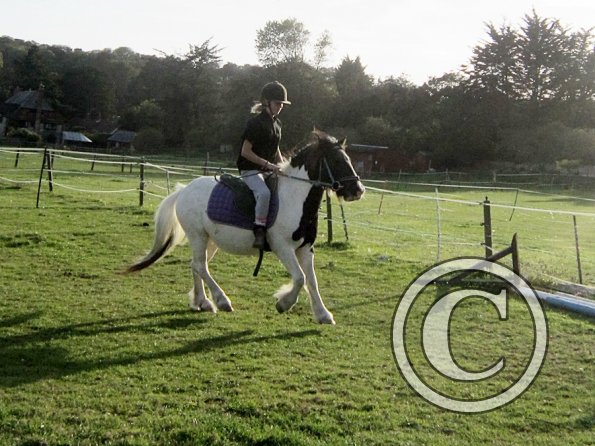 lily-h-and-reggie-11-