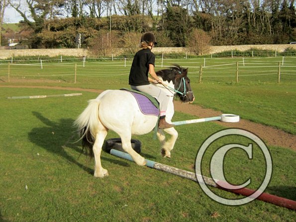 lily-h-and-reggie-2-