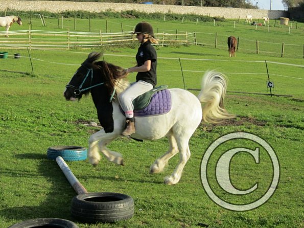 lily-h-and-reggie-3-