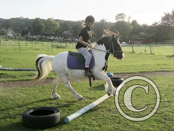 lily-h-and-reggie-4-