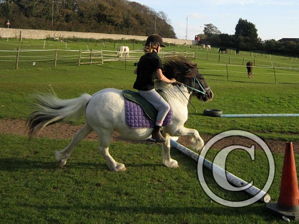 lily-h-and-reggie-5-