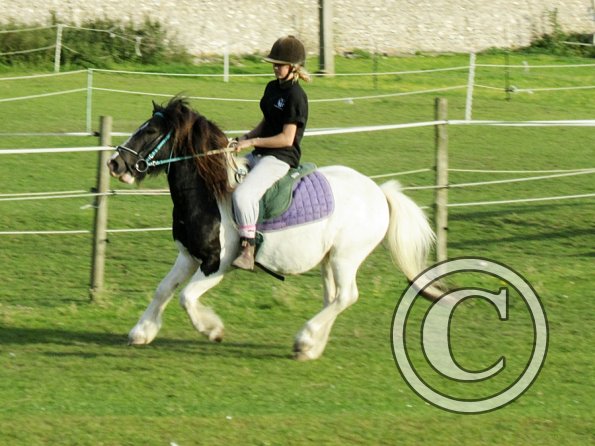 lily-h-and-reggie-6-