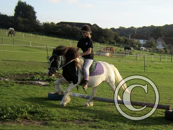 lily-h-and-reggie-7-