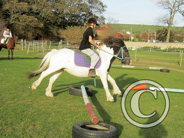 lily-h-and-reggie-8-