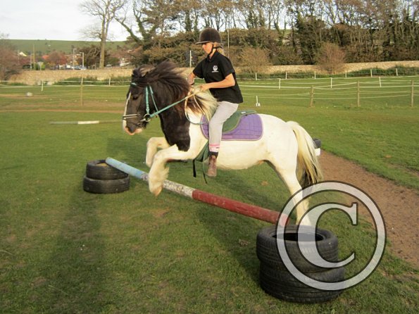 lily-h-and-reggie-9-