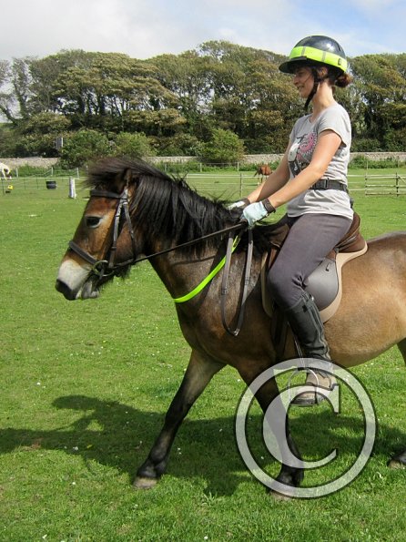 Appley flatwork  (2)