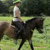 Appley flatwork  (4)