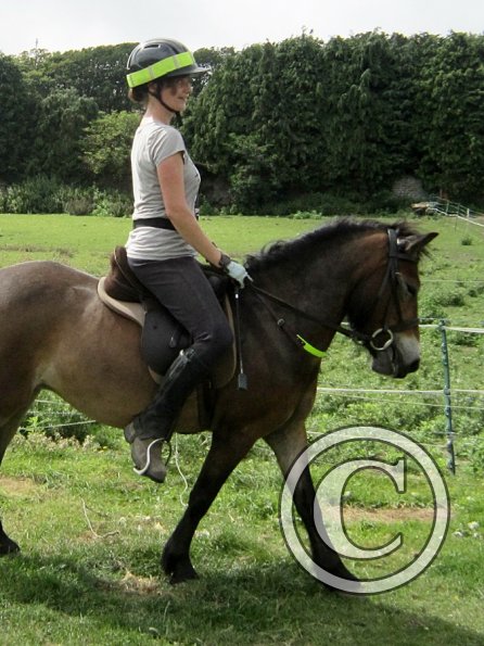 Appley flatwork  (4)