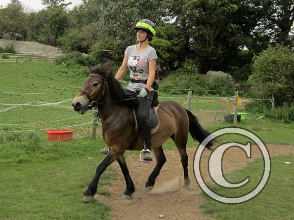 Appley flatwork  (5)