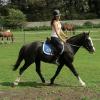 Jessie flatwork (3)
