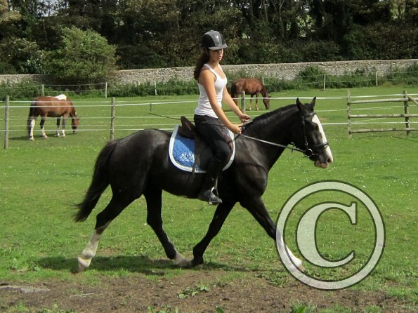 Jessie flatwork (3)