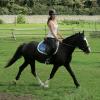 Jessie flatwork (4)