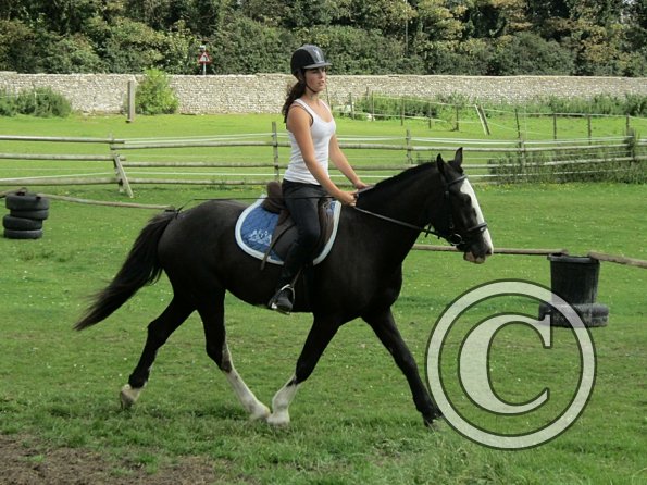 Jessie flatwork (4)