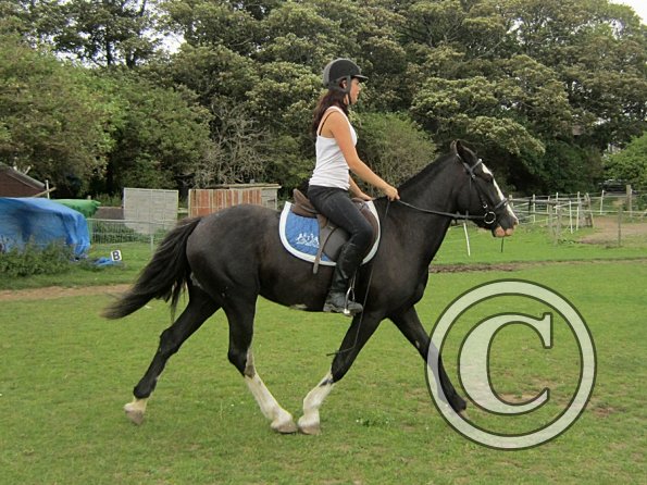 Jessie flatwork (6)