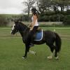 Jessie flatwork (7)