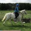 Moo flatwork (3)