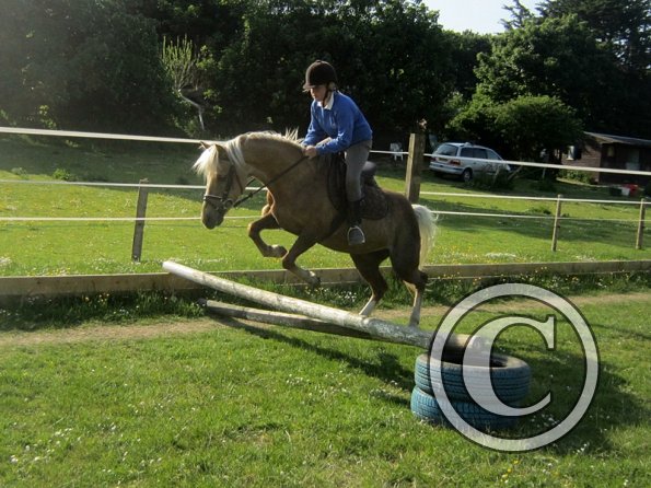 First jump in the new school (11)