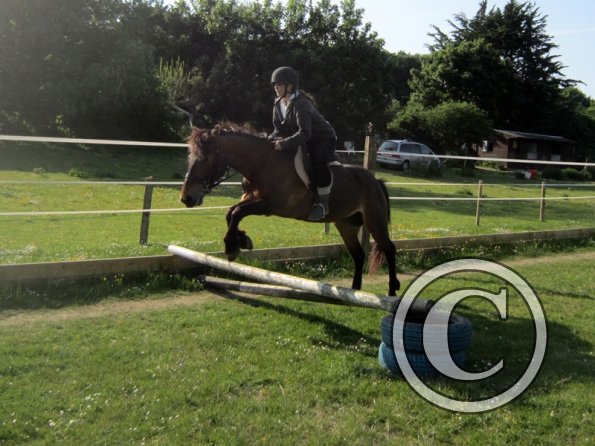 First jump in the new school (12)