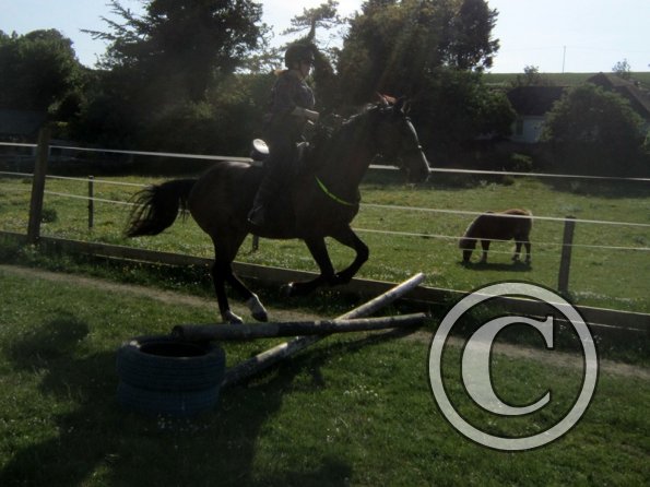 First jump in the new school (8)